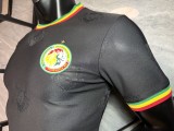 2025-26 Mens Senegal black Special Edition Player soccer jersey