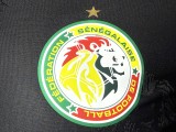 2025-26 Mens Senegal black Special Edition Player soccer jersey