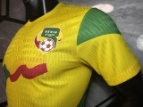 2026-27 Mens Benin yellow away Player version Soccer Jersey