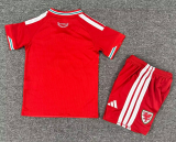 2026-27 Kids Wales Home red Soccer Jersey