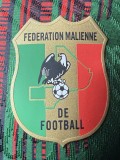 2026-27 Mens Mali African Cup green Player Version Soccer Jersey