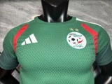 2026-27 Mens Algeria Special edition green Player soccer Jersey