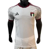 2026-27 Mens United Arab Emirates Home Player version Soccer Jersey