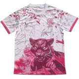 2025-26 Mens Brazil Pink Special Edition soccer jersey