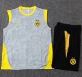 2025-26 Mens Borussia Dortmund Light gray  Vest short training suit   #D25234