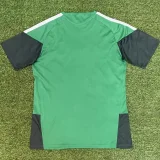2026-27 Mens Algeria Special edition green  soccer Jersey