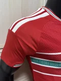 2026-27 Mens Wales home red Player version Soccer Jersey