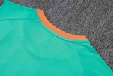 2025-26 Mens Fluminense green vest Training Short Suit D25217#