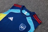 2025-26 Mens Arsenal Fancy blue vest Training Short Suit  #D25218