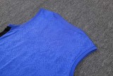 2025-26 Mens Barcelona royal blue Vest short training  D25219#