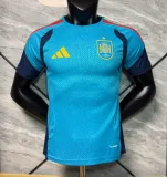 2026-27 Mens Spain Sky Blue Player version soccer Jersey