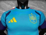 2026-27 Mens Spain Sky Blue Player version soccer Jersey