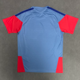 2026-27 Mens Japan away blue Soccer Jersey