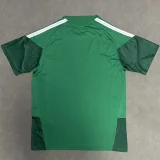 2025-26 Mens Mexico green  Fans Soccer Jersey