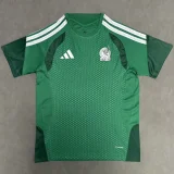 2025-26 Mens Mexico green  Fans Soccer Jersey