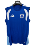 2026-27 Mens Cruzeiro  blue vest