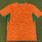 2026-27  Mens Ivory Coast  home Orange  soccer Jersey