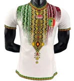 2026-27 Mens Mali  home white Player  Soccer Jersey