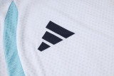 2025-26 Mens Argentina white Tracksuit D2603