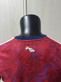 2026-27 Mens Costa Rica Home red  Player version Soccer Jersey