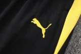 2025-26 Mens Borussia Dortmund Yellow Half Pull Tracksuit  #B25142