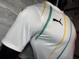 2026-27 Mens  Guinea white  Player version Soccer Jersey