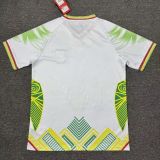 2026-27 Mens Mali white Fans Soccer Jersey