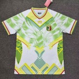 2026-27 Mens Mali white Fans Soccer Jersey