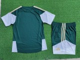 2025-26 Mens  Italy green Training Short Suit