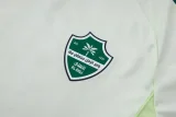 2025-26 Al-Ahli Saudi Light green Training Short Suit #D25265