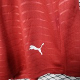 2025-26 Mens Portugal home red player  Shorts Pants