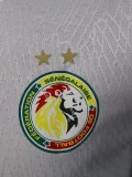 2024-25 Mens Senegal home Player Version Soccer Jersey (Stars 2 星)
