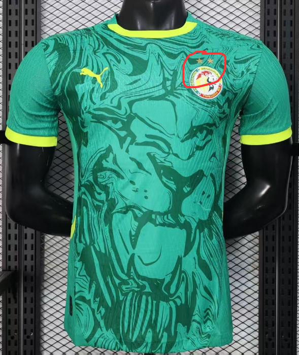 2024-25 Mens Senegal Away Player Version Soccer Jersey (Stars 2 星)