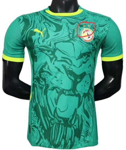 2024-25 Mens Senegal Away Player Version Soccer Jersey (Stars 2 星)