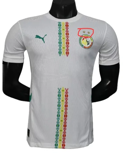 2024-25 Mens Senegal home Player Version Soccer Jersey (Stars 2 星)