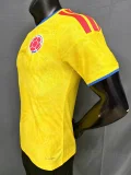 2026-27  Mens Colombia home Player yellow soccer jersey