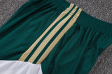 2026-27 Mens Italy  green  player Shorts Pants
