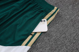 2026-27 Mens Italy  green  player Shorts Pants