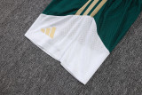 2026-27 Mens Italy  green  player Shorts Pants