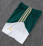 2026-27 Mens Italy  green  player Shorts Pants