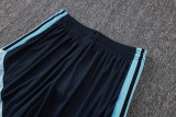 2026-27  Argentina  player version Shorts Pants