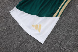 2026-27 Mens Italy  green  player Shorts Pants