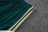 2026-27 Mens Italy  green  player Shorts Pants