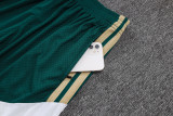 2026-27  Italy green Player Version Training Short Suit(球员版)