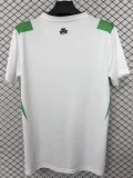 2026-27 Mens Ireland away Fans Soccer Jersey