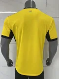 2026-27 Ghana Yellow Fans Soccer Jersey