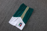 2026-27  Italy dark green vest training Short suit D26009#