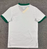 2026-27 Mens Bolivia away fan Soccer Jersey