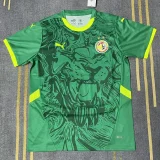 2025-26 Senegal Away Green Fans Soccer Jersey (2 Stars)