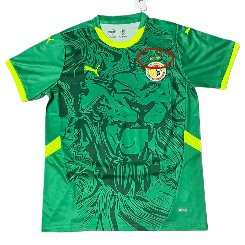 2025-26 Senegal Away Green Fans Soccer Jersey (2 Stars)